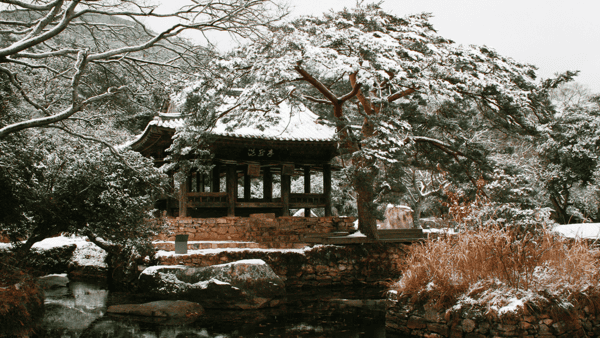 고산 윤선도 유적지 겨울 풍경 / 사진=korailtravel