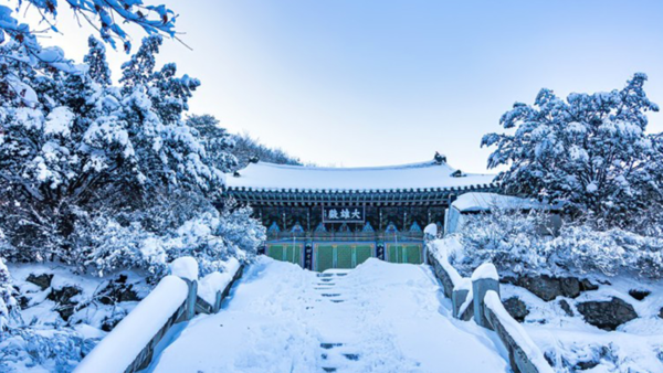 백련사 풍경 / 사진=온라인커뮤니티 백련사 풍경 / 사진=온라인커뮤니티