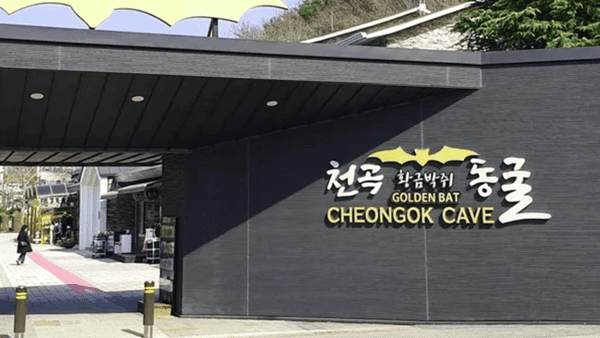 천곡황금박쥐동굴 / 사진=트립닷컴?
