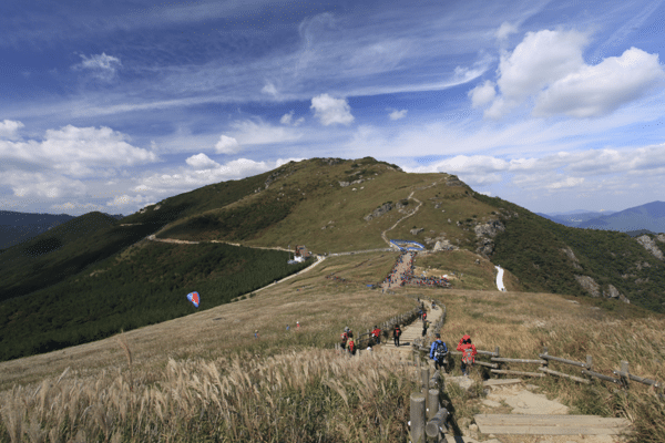 울산 간월재의 등산길 풍경 /사진=게티이미지뱅크 울산 간월재의 등산길 풍경 /사진=게티이미지뱅크