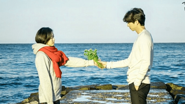 강릉 주문진 / tvN 도깨비? 강릉 주문진 / tvN 도깨비?