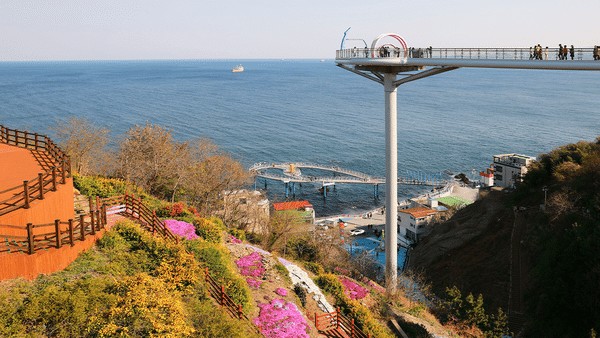 도깨비골 스카이밸리 전경 / 사진=게티이미지뱅크 도깨비골 스카이밸리 전경 / 사진=게티이미지뱅크