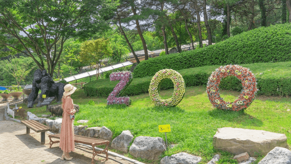 청주랜드 동물원 / 온라인커뮤니티? 청주랜드 동물원 / 온라인커뮤니티?