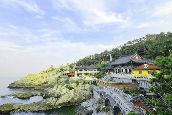 해동 용궁사 / 온라인커뮤니티? 해동 용궁사 / 온라인커뮤니티?