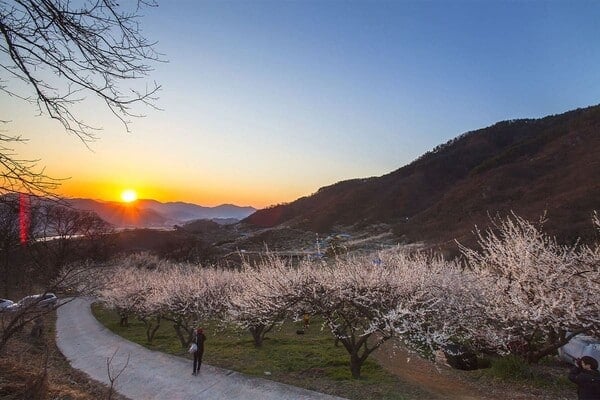 잘 알려지지 않은 여행지 광양/사진=게티이미지뱅크 잘 알려지지 않은 여행지 광양/사진=게티이미지뱅크