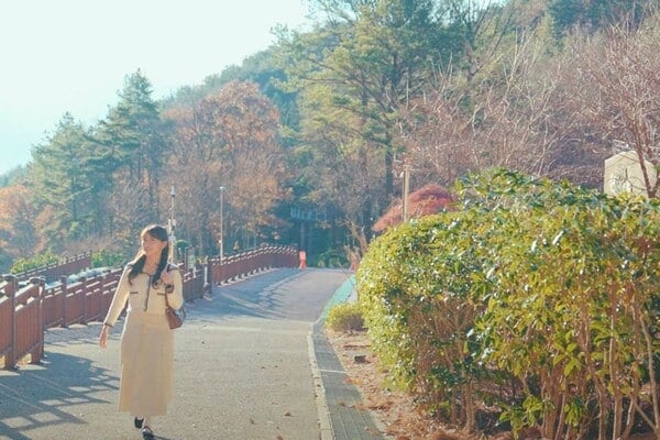 백운산자연휴양림/사진=유튜브 전남관광채널 백운산자연휴양림/사진=유튜브 전남관광채널