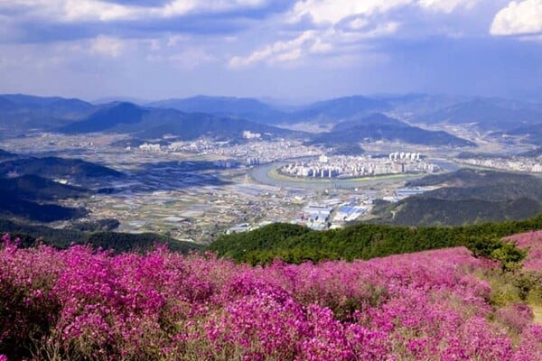 밀양 종남산 / 페이스북 밀양 종남산 / 페이스북
