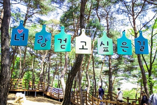 원주 관광지 가볼만한곳 / 한국관광공사 김지호 원주 관광지 가볼만한곳 / 한국관광공사 김지호