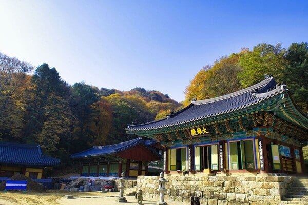 원주 구룡사 / 한국관광공사 강원지사 원주 구룡사 / 한국관광공사 강원지사