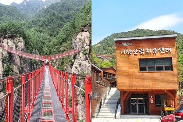 거창 항노화힐링랜드 / 공식홈페이지