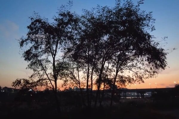달맞이공원 야경 /사진=유튜브 임짱캠핑-imjjang camping