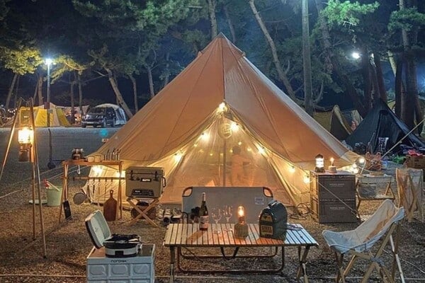 몽산포 캠핑장 /사진=몽산포오토캠핑장2구역 인스타그램