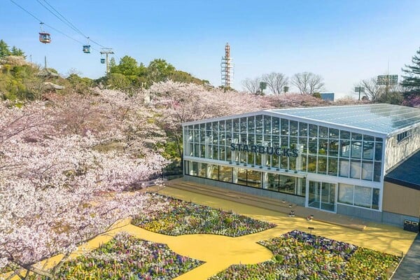 요미우리랜드 하나비요리점 /사진=온라인커뮤니티 요미우리랜드 하나비요리점 /사진=온라인커뮤니티