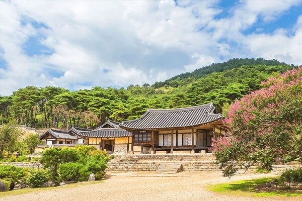 명재고택 /사진=게티이미지뱅크 명재고택 /사진=게티이미지뱅크