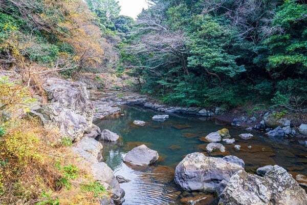 안덕계곡 풍경 / 사진=한국관광공사 김지호