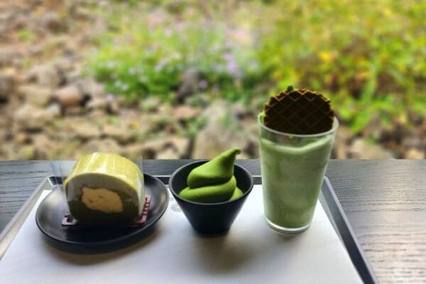 오설록 티 뮤지엄 녹차 디저트 / 사진=온라인커뮤니티