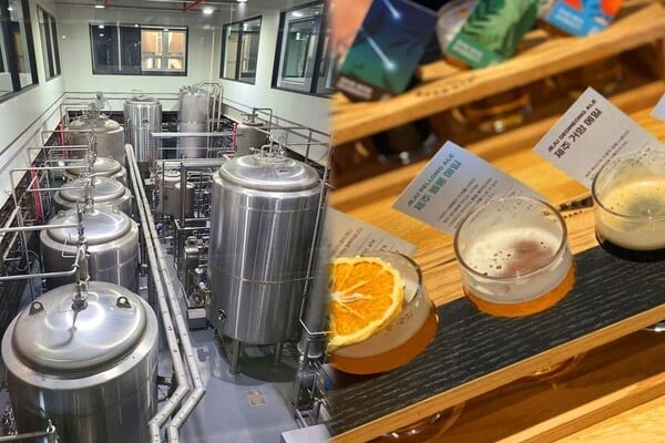 제주맥주 양조장, 맥주 시음 / 사진=온라인커뮤니티 제주맥주 양조장, 맥주 시음 / 사진=온라인커뮤니티