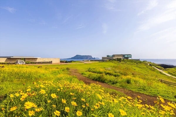성산일출봉이 보이는 제주 섭지코지 /사진=게티이미지뱅크
