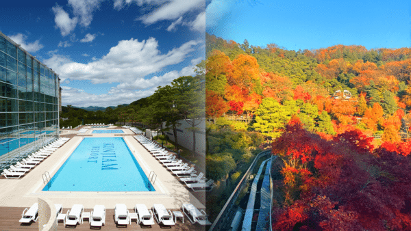 곤지암 리조트와 화담숲 전경 /사진=온라인커뮤니티 곤지암 리조트와 화담숲 전경 /사진=온라인커뮤니티