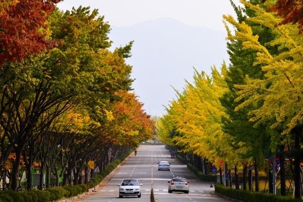 미사경정공원 아름다운 산책길 /사진=미사경정공원 홈페이지 미사경정공원 아름다운 산책길 /사진=미사경정공원 홈페이지