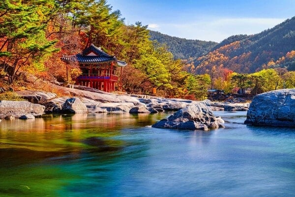 함양 농월정 강물 / 사진=LocalGuide 함양 농월정 강물 / 사진=LocalGuide