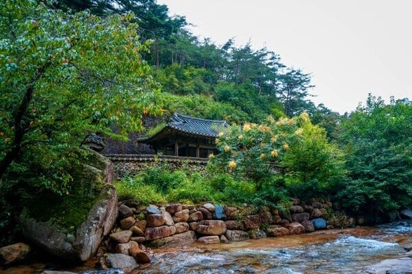 문경선유동계곡 한옥 / 사진=온라인커뮤니티 문경선유동계곡 한옥 / 사진=온라인커뮤니티
