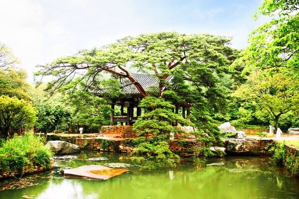 보길도 세연정 풍경 / 사진=게티이미지뱅크 보길도 세연정 풍경 / 사진=게티이미지뱅크