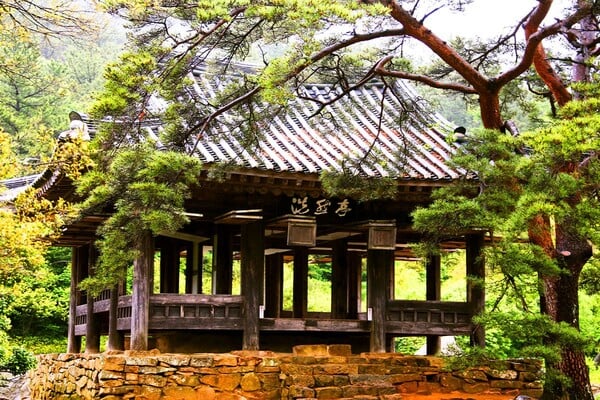 보길도 세연정 정면 / 사진=게티이미지뱅크 보길도 세연정 정면 / 사진=게티이미지뱅크