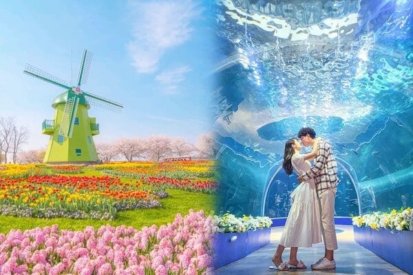 여순광 / 온라인커뮤니티? 여순광 / 온라인커뮤니티?