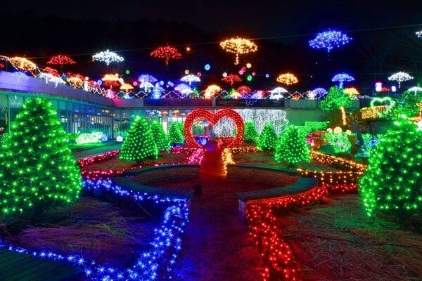 신구대학교식물원 꽃빛축제 / 사진=shingu