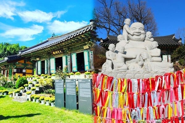 봉국사 전경 / 사진=인스타그램