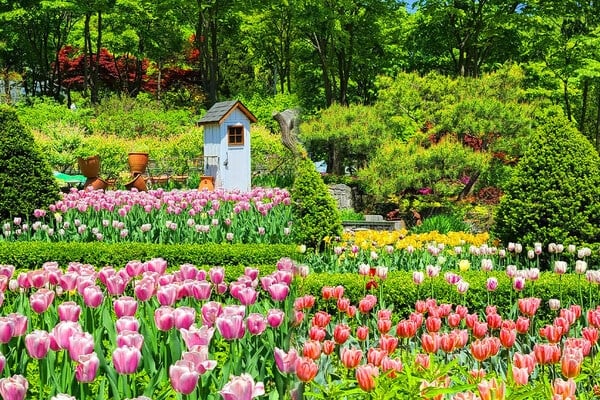 신구대학교식물원 풍경 / 사진=인스타그램