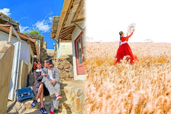 순천드라마촬영장, 순천만습지 갈대밭 / 사진=camping_club, hanbok_travelarts 인스타그램 순천드라마촬영장, 순천만습지 갈대밭 / 사진=camping_club, hanbok_travelarts 인스타그램
