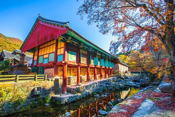 송광사 사찰과 자연 / 사진=게티이미지뱅크 송광사 사찰과 자연 / 사진=게티이미지뱅크