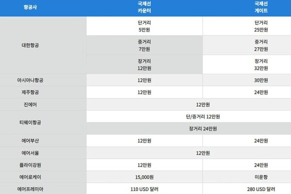 국제선 예약 미탑승 노쇼 위약금 / 사진=온라인커뮤니티