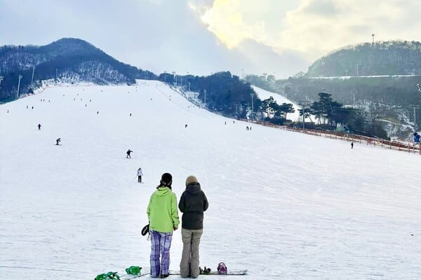 지산리조트 / 온라인커뮤니티? 지산리조트 / 온라인커뮤니티?
