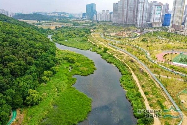거대한 오산천의 전경 /사진=오산시청 거대한 오산천의 전경 /사진=오산시청