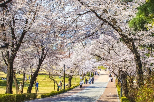 서울 어린이대공원 산책길과 관광객 /사진=게티이미지뱅크 서울 어린이대공원 산책길과 관광객 /사진=게티이미지뱅크