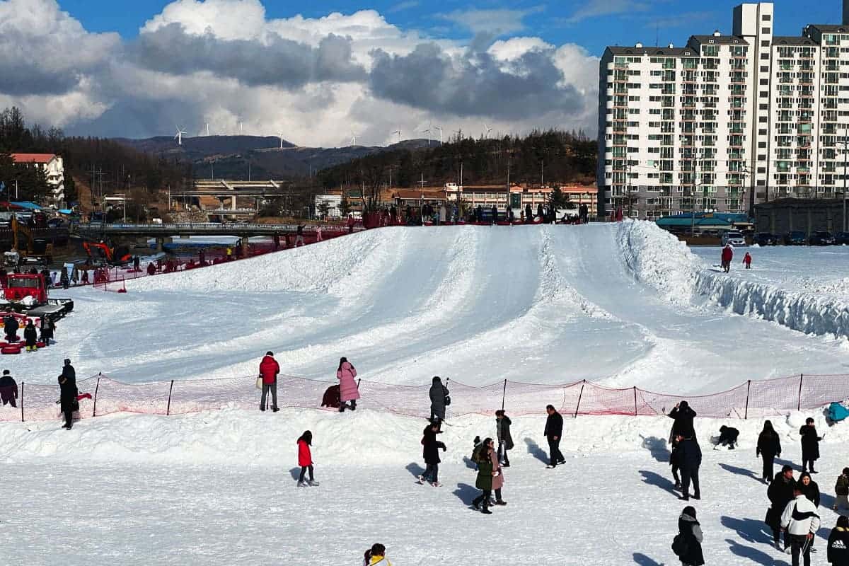 대관령눈꽃축제 모습 대관령눈꽃축제 모습