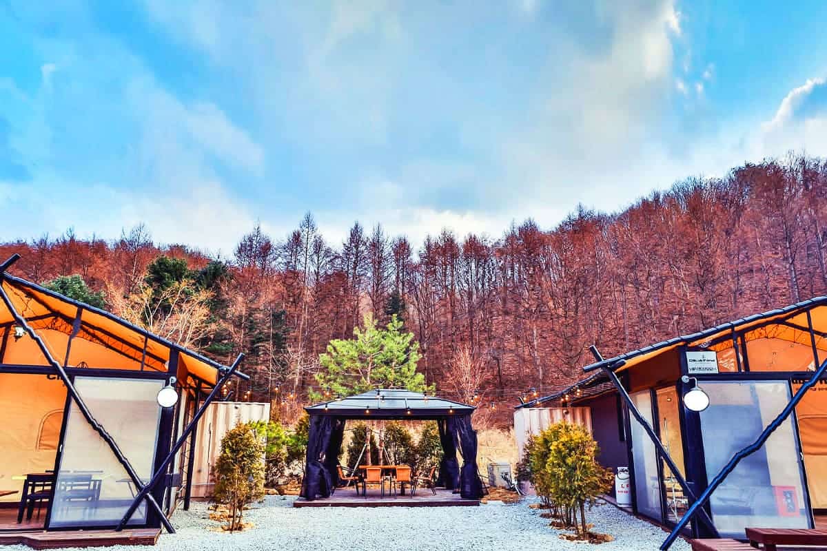 강원도 글램핑장 클럽프리모 글램핑 강원도 글램핑장 클럽프리모 글램핑