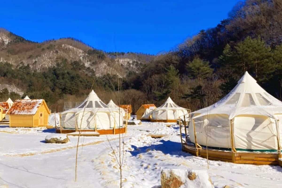 강원도 글램핑장 라플란드 강원도 글램핑장 라플란드