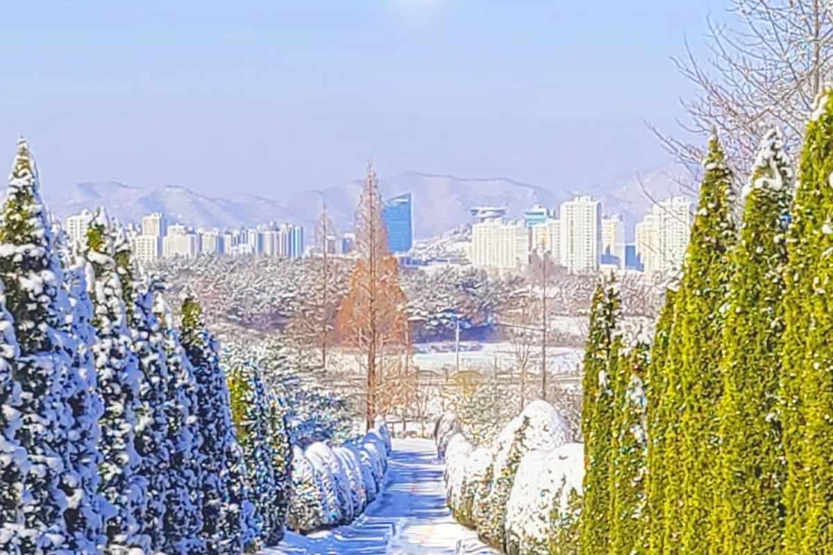 나주 전라남도 산림자원연구소 겨울 모습