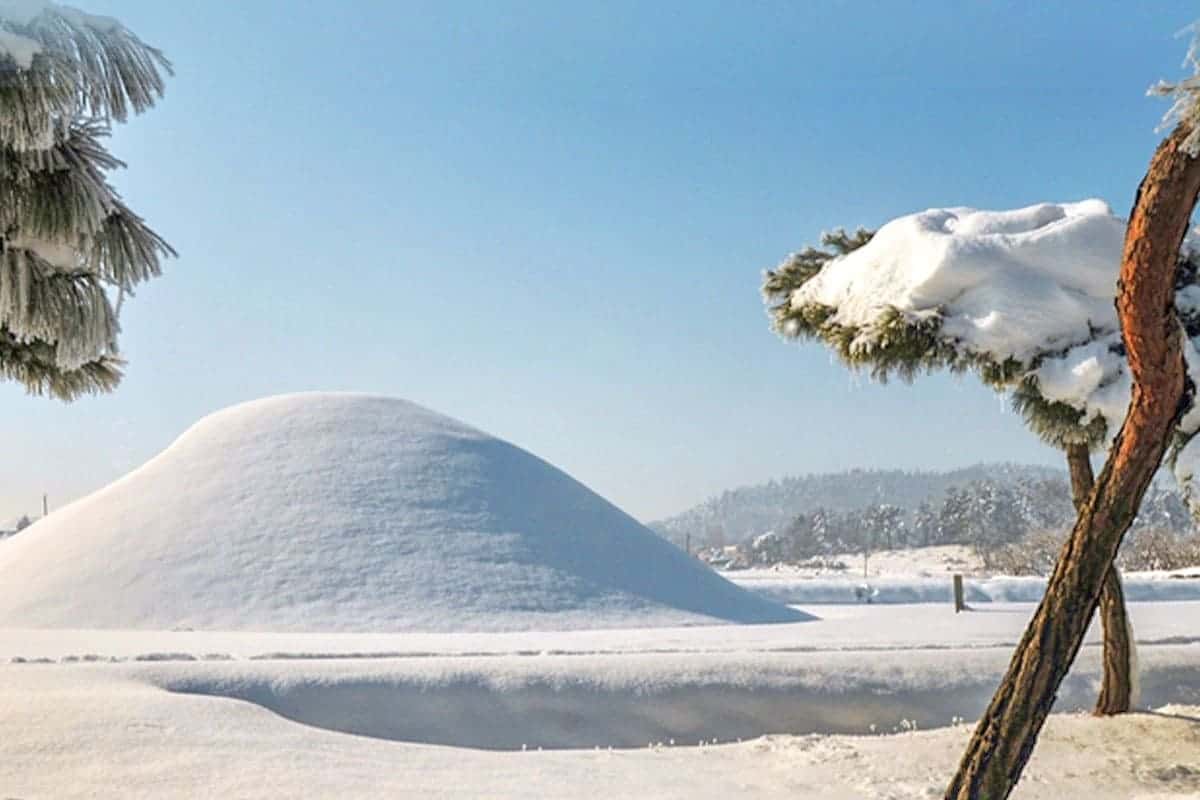나주 반남 고분군 설경