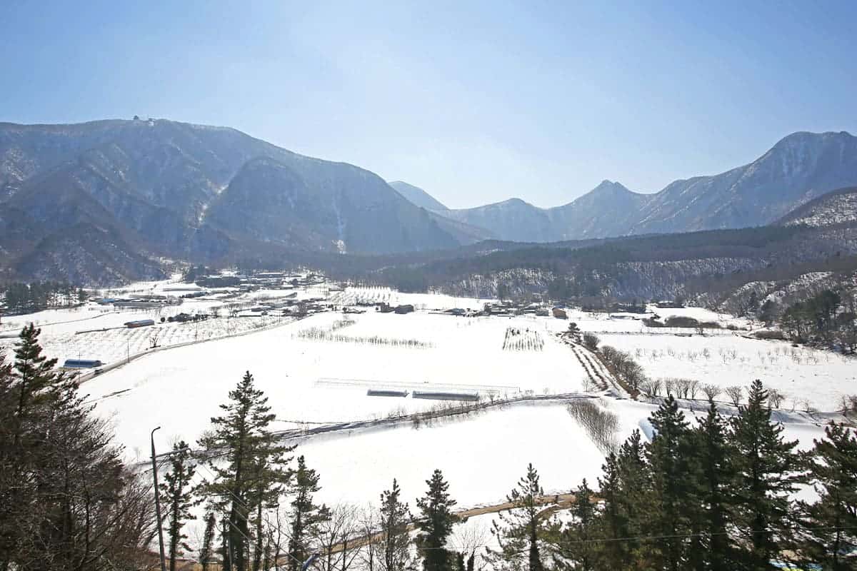 울릉도 나리분지 설경 울릉도 나리분지 설경