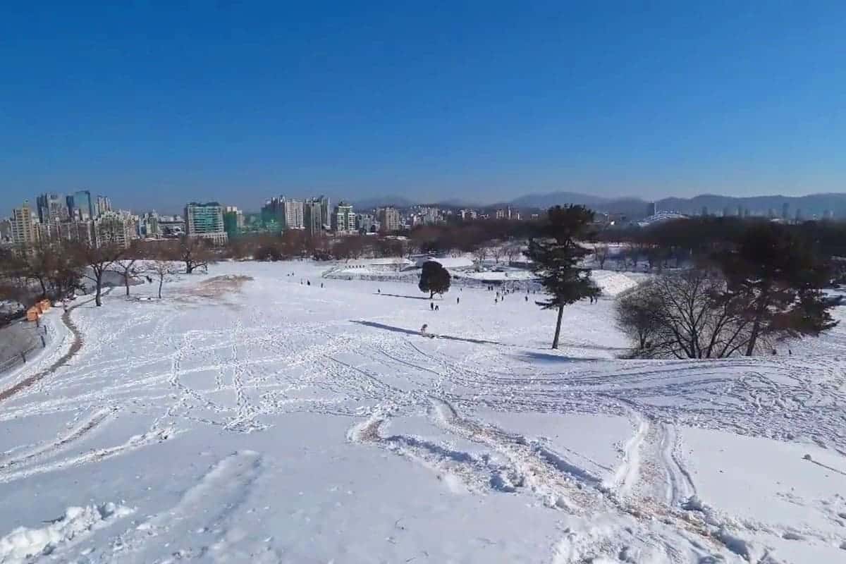 서울 올림픽공원 나홀로나무 겨울 모습