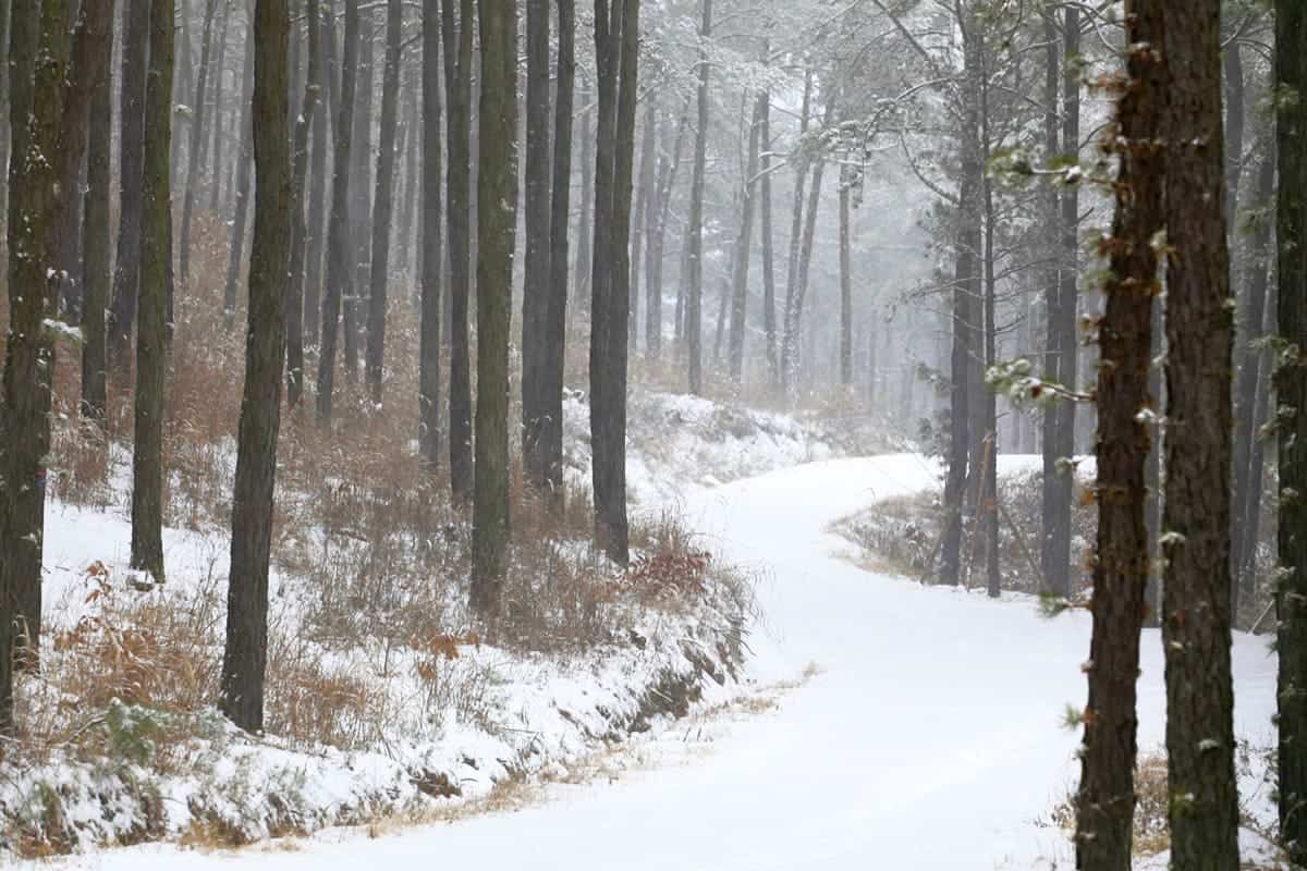 사유원 겨울 산책길