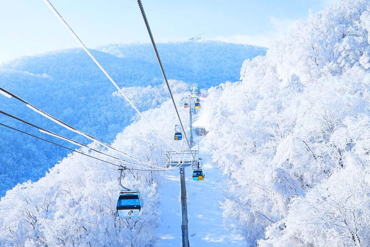 발왕산 케이블카 설경뷰 