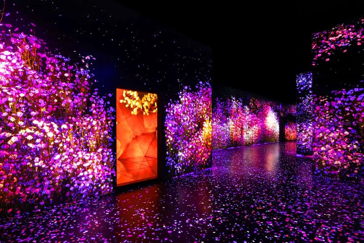 아르떼뮤지엄 강릉 미디어아트 아르떼뮤지엄 강릉 미디어아트