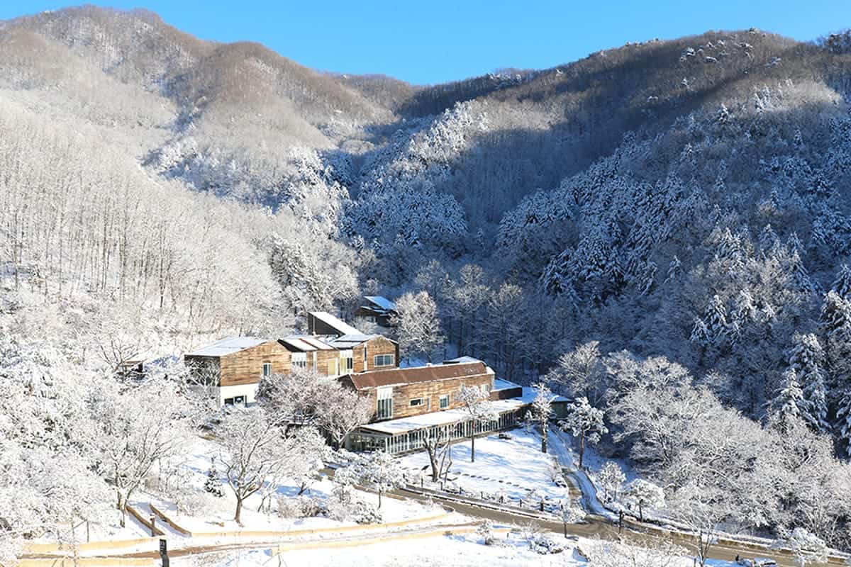 힐리언스 선마을 설경