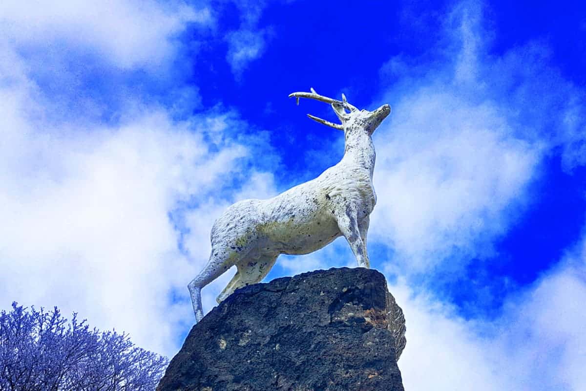 1100고지습지 겨울 동상 1100고지습지 겨울 동상